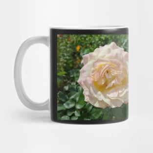 Pink Rose Mug